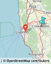 Riproduzione Disegni - Servizio,57014Livorno