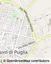 Via Giovanni Paisiello, 11,70037Ruvo di Puglia