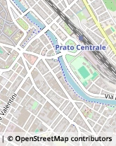 Viale Montegrappa, 151,59100Prato