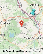 Notai,01028Viterbo