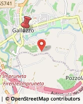 Piazza Niccolò Acciaioli, 3,50124Firenze
