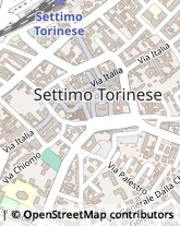 Via S. Francesco D'Assisi, 8,10036Settimo Torinese