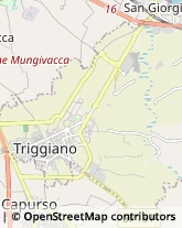 Corso Vittorio Emanuele, 115,70019Triggiano