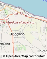 Via Federico Epifania, 207,70010Capurso