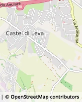 Via di Castel di Leva, 305,00134Roma