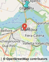 Veterinaria - Ambulatori e Laboratori,46100Mantova