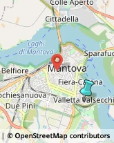 Succhi di Frutta e Verdura,46100Mantova