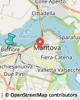 Veterinaria - Ambulatori e Laboratori,46100Mantova