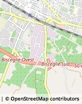 Via Bruxelles, 11,76011Bisceglie