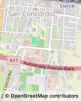 Via della Formica, 665,55100Lucca