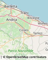 Articoli Natalizi,70038Bari