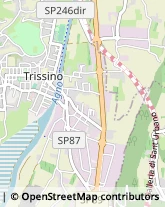 Via Treviso, 10,36070Trissino