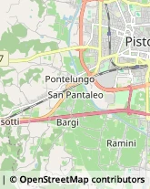 Agenzie di Animazione e Spettacolo,51100Pistoia