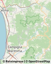 Comuni e Servizi Comunali,57028Livorno