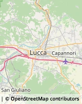 Via delle Suore, 11,55013Capannori