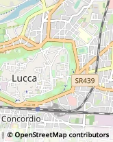 Via Pesciatina, 414,55012Lucca