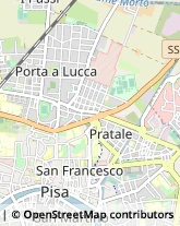 Via Giosuè Carducci, 60,56100Pisa