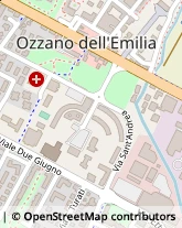 Viale S. Allende, 46,40064Ozzano dell'Emilia