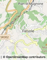 Agenzie Immobiliari,50132Firenze