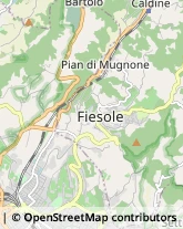 Agenzie Immobiliari,50014Firenze