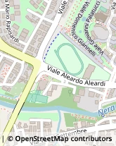 Viale Aleardo Aleardi, 6,05100Terni