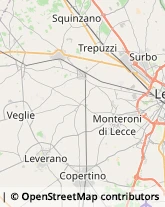 Via Venezia, 4,73047Monteroni di Lecce