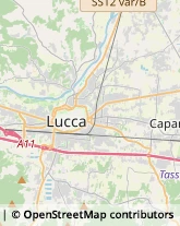 Notai,55100Lucca