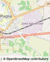 Autofficine e Centri Assistenza,70037Bari