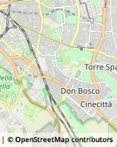 Via Manlio Torquato, 12,00181Roma