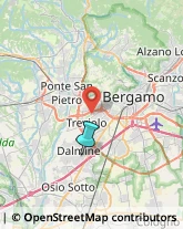 Feste - Organizzazione e Servizi,24044Bergamo