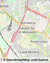 Infermieri ed Assistenza Domiciliare,00173Roma