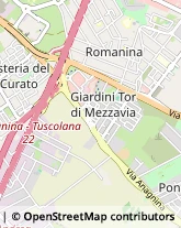 Infermieri ed Assistenza Domiciliare,00100Roma