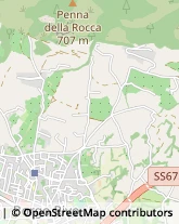 Str. del Cerqueto, 54,05100Terni