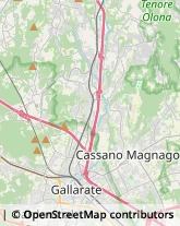 Via Giosuè Carducci, 16,21013Gallarate