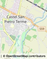 Via San Martino, 64,40024Castel San Pietro Terme