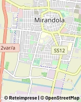 Via Giovanni Pico, 17,41037Mirandola