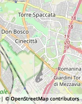 Ostetrici e Ginecologi - Medici Specialisti,00173Roma