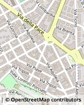 Viale Europa, 29/A/B,58100Grosseto