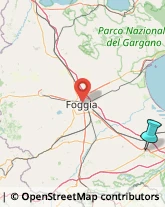 Sartorie,71042Foggia