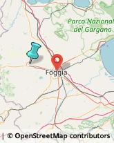 Sartorie,71036Foggia