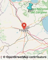 Sartorie,71014Foggia