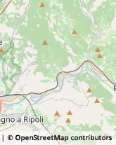 Ricerca Scientifica - Istituti Sperimentali e Stazioni,50065Firenze