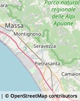 Viale Roma, 215,55045Pietrasanta