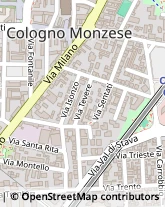 Via Bolzano, 20,20093Cologno Monzese