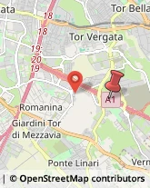 Diramazione Roma Sud, ,00133Roma