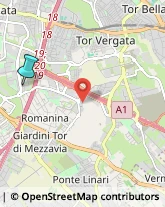 Consulenza Informatica,00173Roma