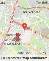 Via Dipignano, 66,00173Roma