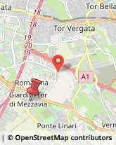 Via Zaccanopoli, 28,00173Roma