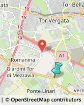 Tour Operator e Agenzia di Viaggi,00173Roma