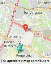 Locali, Birrerie e Pub,00173Roma